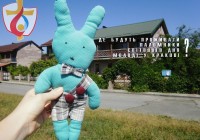 Де будуть проживати паломники Світового Дня Молоді у Кракові?