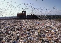 Як живе сміття? Екскурсія на сміттєзвалище і не тільки