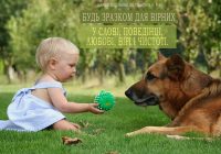 Святе Письмо з розважанням на 29 січня
