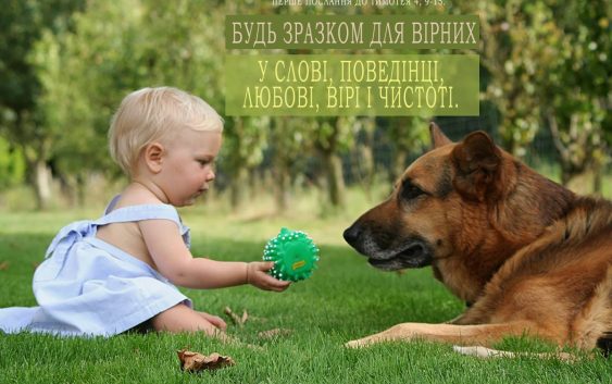 Святе Письмо з розважанням на 29 січня