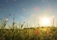 Свята вічність, яка потягає