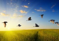 Із чого почати день, щоб він був успішний