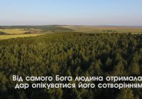 Церква каже: Ні підпалам!