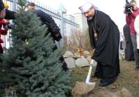 Глава УГКЦ закликає відмовитися від зрубаних живих ялинок з нагоди новорічних та різдвяних свят