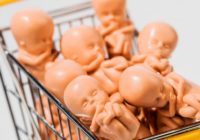 Звернення єпископів до влади на тему сурогатного материнства