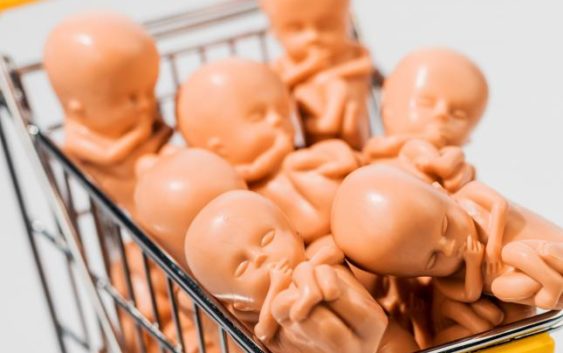 Звернення єпископів до влади на тему сурогатного материнства