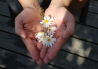 Виховання любов’ю з блаженною Марцеліною Даровською