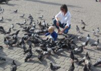 НЕСПОКІЙНА МАТИ В ГОСТЯХ В БОГА