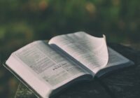 Духовна мандрівка книгою Псалмів. Псалом 1
