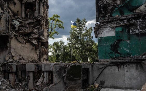 Виноградник, Іван Хреститель та любов до правди