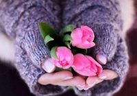 Наша віра помножує Божу любов і щастя