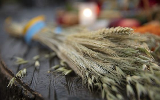 Із зерен, захованих у долонях, проросла свобода: 8 думок єпископів УГКЦ про Голодомор